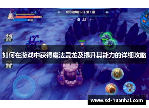 如何在游戏中获得魔法灵龙及提升其能力的详细攻略