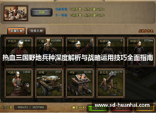 热血三国野地兵种深度解析与战略运用技巧全面指南