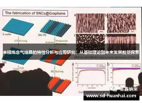 未精炼念气结晶的特性分析与应用研究：从基础理论到未来发展前景探索